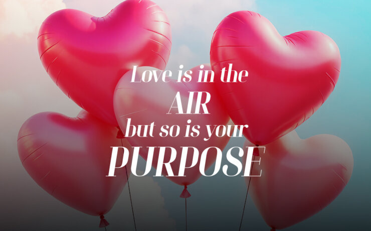 newsletter-love-in-the-air