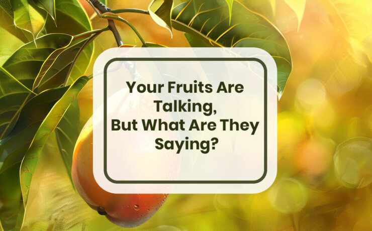 firebrand-fruitfulness-post